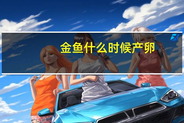 金鱼什么时候产卵
