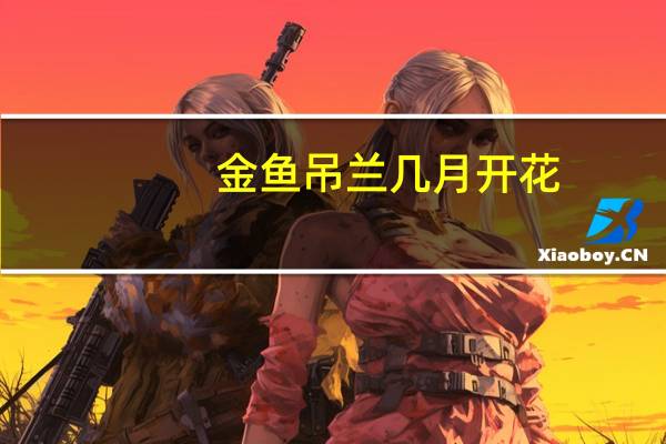 金鱼吊兰几月开花