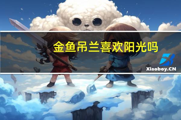 金鱼吊兰喜欢阳光吗