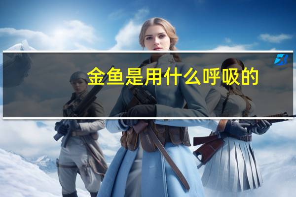 金鱼是用什么呼吸的