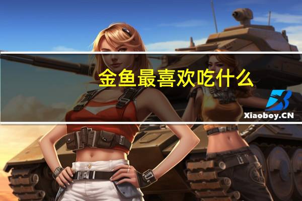 金鱼最喜欢吃什么
