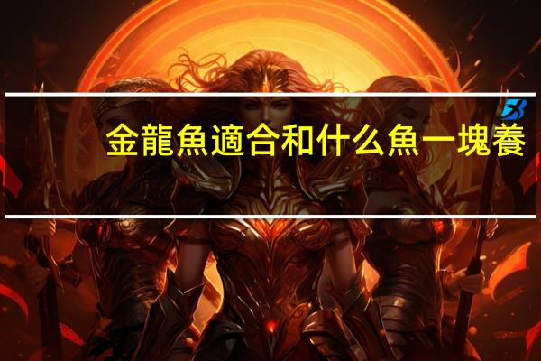 金龍魚適合和什么魚一塊養(yǎng)
