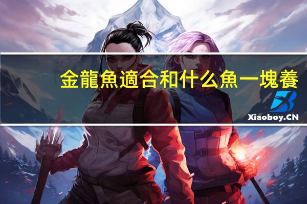 金龍魚適合和什么魚一塊養(yǎng)