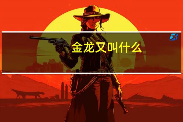 金龙又叫什么