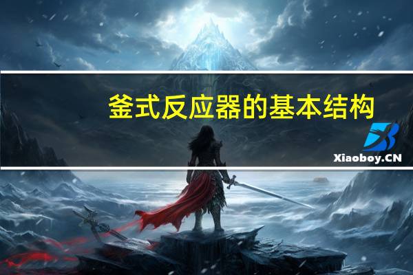 釜式反应器的基本结构