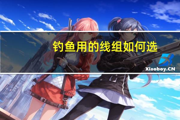 钓鱼用的线组如何选
