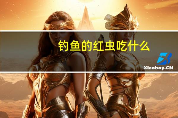 钓鱼的红虫吃什么