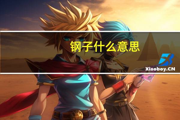钢子什么意思