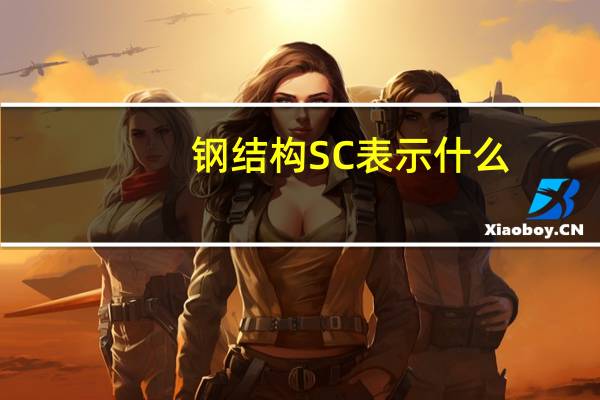 钢结构SC表示什么