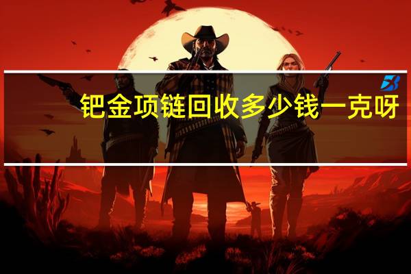 钯金项链回收多少钱一克呀