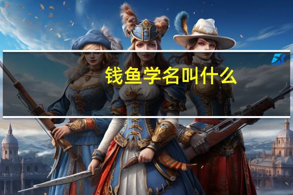 钱鱼学名叫什么