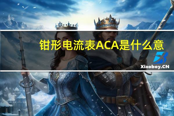 钳形电流表ACA是什么意