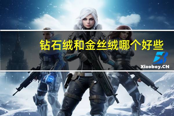 钻石绒和金丝绒哪个好些