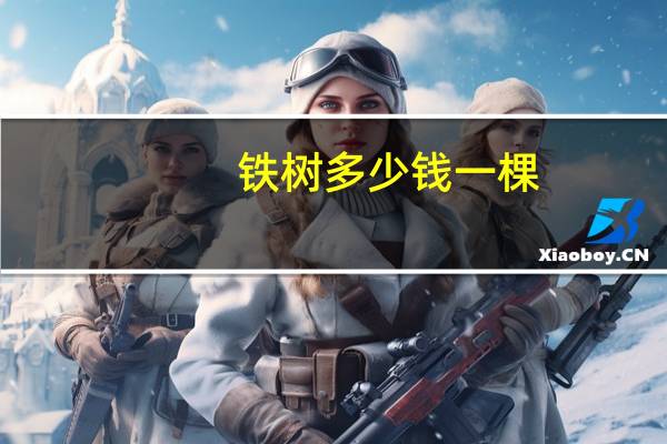 铁树多少钱一棵