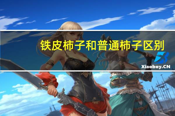 铁皮柿子和普通柿子区别