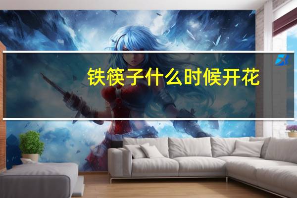 铁筷子什么时候开花