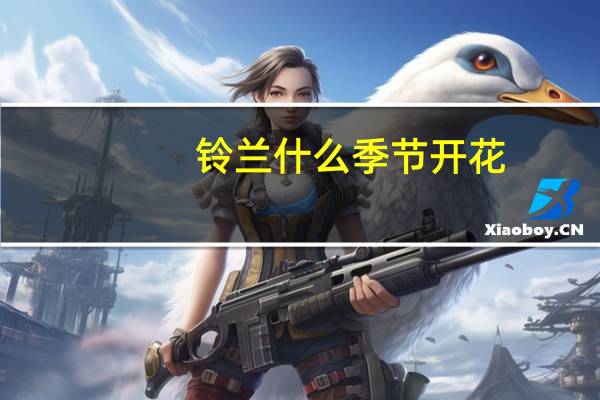 铃兰什么季节开花