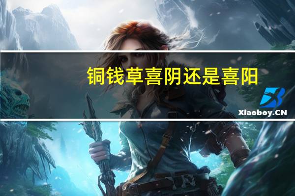铜钱草喜阴还是喜阳