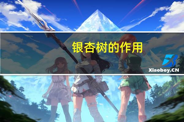 银杏树的作用