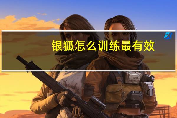 银狐怎么训练最有效