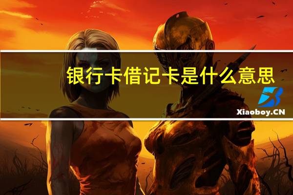 银行卡借记卡是什么意思