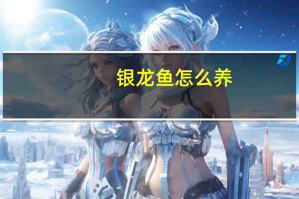 银龙鱼怎么养