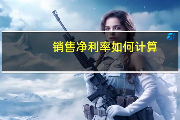 销售净利率如何计算