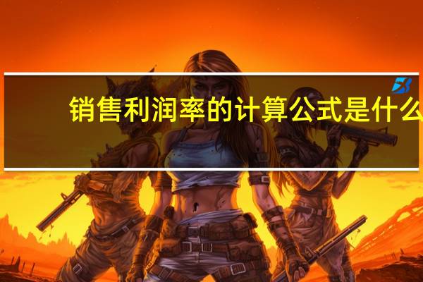 销售利润率的计算公式是什么？