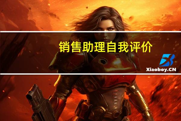 销售助理自我评价