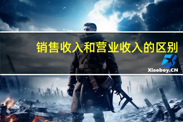 销售收入和营业收入的区别