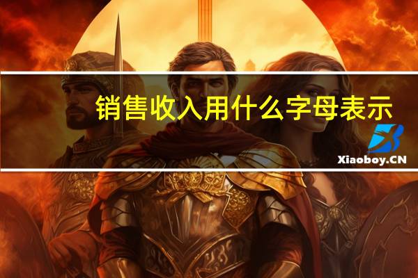 销售收入用什么字母表示