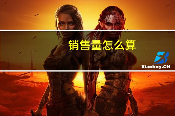 销售量怎么算