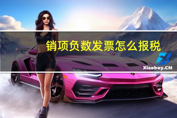 销项负数发票怎么报税