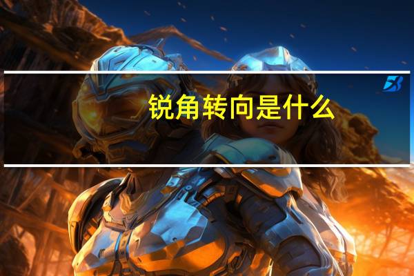 锐角转向是什么