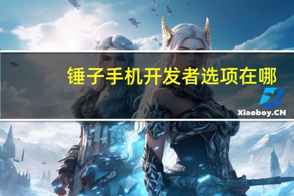锤子手机开发者选项在哪