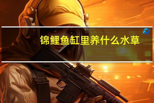 锦鲤鱼缸里养什么水草