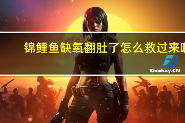 锦鲤鱼缺氧翻肚了怎么救过来啊