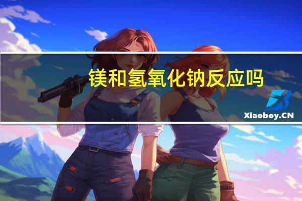 镁和氢氧化钠反应吗