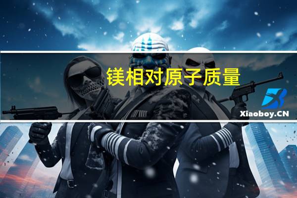 镁相对原子质量