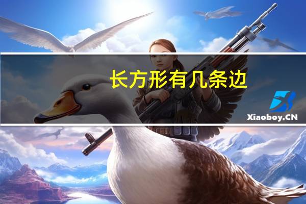 长方形有几条边