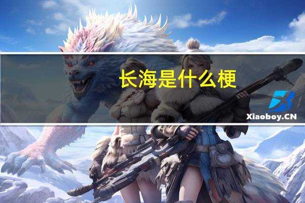长海是什么梗