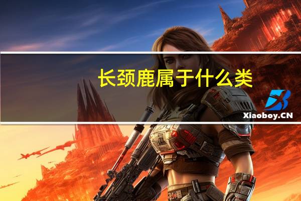 长颈鹿属于什么类