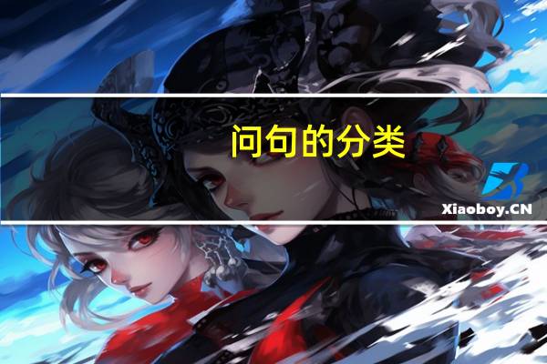 问句的分类