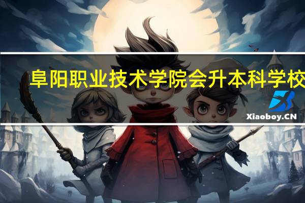 阜阳职业技术学院会升本科学校吗