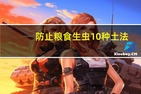 防止粮食生虫10种土法