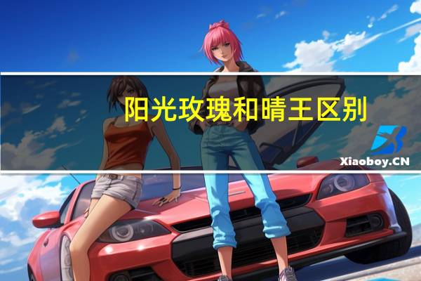 阳光玫瑰和晴王区别