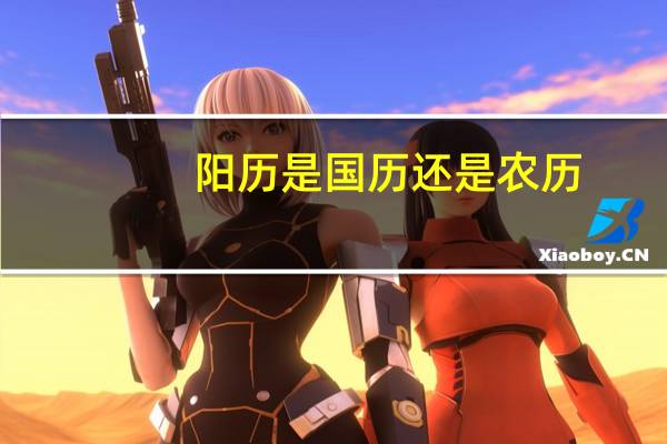 阳历是国历还是农历