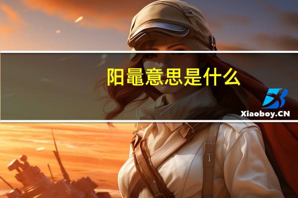 阳鼂意思是什么