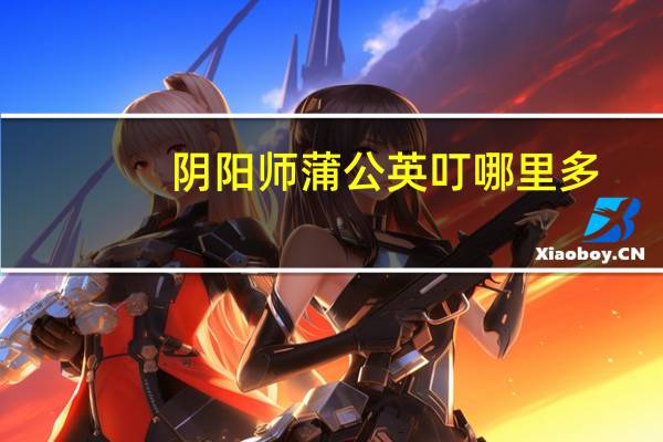 阴阳师蒲公英叮哪里多