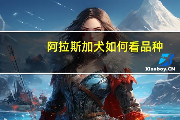 阿拉斯加犬如何看品种